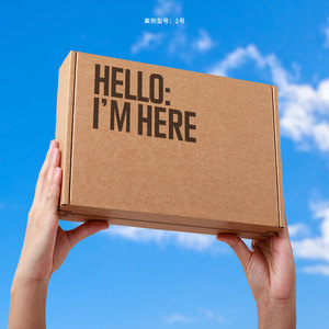 Kraft Paper Corrugated Shipping Box Tear Strip Mailer