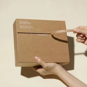 Recyclable Custom Corrugated Self Sealing Mailer Box